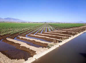 Arizona irrigation
