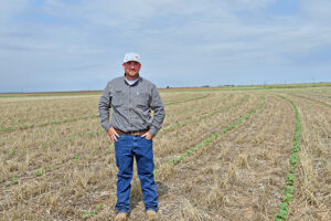 kris verett 80-inch rows