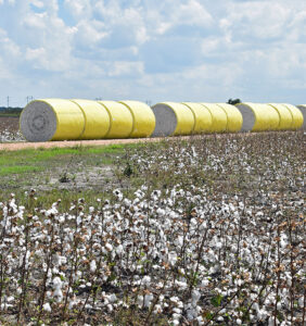 yellow bale wrap