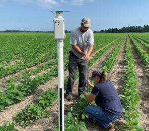 installing a soil moisture sensor