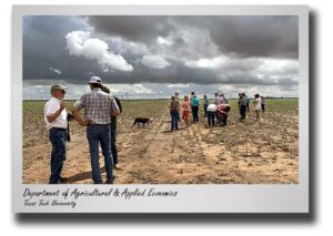 texas tech water and soil conservation studies