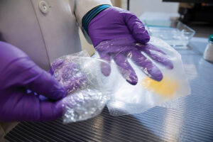 plastic alternative from cotton