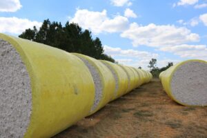 alabama cotton bales