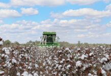 Plan to attend Alabama Row Crops Short Course, Jan. 18-19 alabama cotton harvest