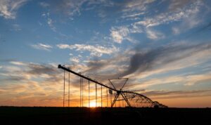 center pivots in Texas