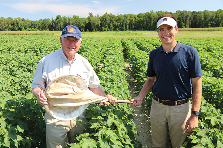 Dr. Ron Smith stands left next to Dr. Scott Graham, handing off the sweep net in a field of cotton. 