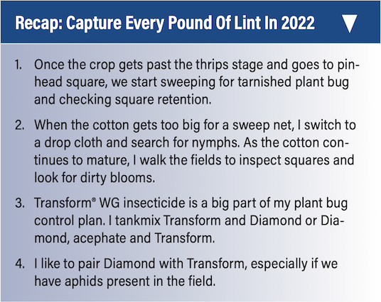 Recap: Capture Every Pound of Lint in 2022. 1. Once the crop gets past the thrips stage and goes to pinhead square, we start sweeping for tarnished plant bug and checking square retention. 2. When the cotton gets too big for a sweep net, I switch to a drop cloth and search for nymphs. As the cotton continues to mature, I walk the fields to inspect squares and look for dirty blooms. 3. Transform® WG insecticide is a big part of my plant bug control plan. I tankmix Transform and Diamond or Diamond, acephate and Transform. 4. I like to pair Diamond with Transform, especially if we have aphids present in the field.